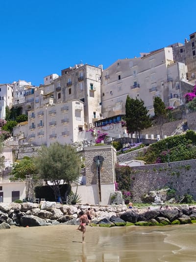 This is a daytime, low-angle shot of a crowded beach in Sperlonga, Italy, with buildings cascading down a hillside in the background. The beach is composed of sand and large, dark rocks covered in green algae. The water is shallow and calm, with gentle waves lapping at the shore. Several people are visible on the beach, including a woman in a pink bikini standing on one leg in the foreground. In the mid-ground, a man in blue shorts is sitting on the rocks, and a group of people are lying down. Behind the rocks, there is a white building and more people sitting on the rocks. The background features a densely packed collection of cream-colored buildings, many with balconies and white shutters, built into the steep hillside. Lush green vegetation and bright pink flowers are interspersed among the buildings and on the terraces. The sky is a clear, bright blue.