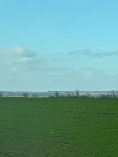 The image depicts a rural landscape near the city of Zarevo, Russia. The foreground consists of an expansive, flat green field, likely agricultural land, covered with short vegetation. A small, indistinct white object rests on the field in the lower-left quadrant. A horizontal line of leafless trees and shrubs forms the midground, suggesting a late autumn, winter, or early spring season. Beyond the trees, a lighter-toned, distant landscape stretches towards the horizon. The sky occupies the upper portion of the frame, displaying a light blue hue with scattered, diffuse white and light grey clouds, which are more prominent closer to the horizon. No people, animals, or explicit actions are visible within the scene.