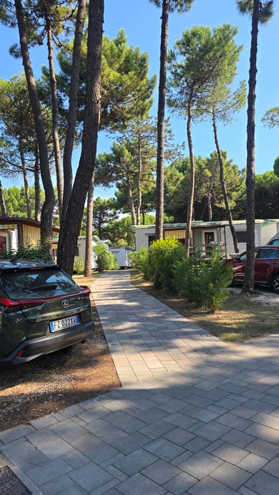 This media file captures a sun-drenched scene in a campsite or holiday park, likely in San Michele al Tagliamento, Italy. Tall, slender pine trees with their characteristic needle-like foliage dominate the left side of the frame, their trunks casting long shadows across a paved walkway. The walkway, laid with grey rectangular pavers, runs diagonally through the image.

The scene appears to be set in a residential area of the park, with small mobile homes or cabins visible between the trees. Some of these structures have colorful awnings, one notably yellow and white striped. The overall impression is one of a quiet, perhaps late afternoon, setting. The clear blue sky suggests fair weather.

A dark green Lexus car is parked on the right side of the walkway, its rear end facing the viewer. The license plate, clearly visible, reads "FZ 022XM". The car is parked on a patch of gravel and pine needles, adjacent to the paved path. The overall atmosphere is serene and peaceful, typical of a holiday resort. There are no people clearly visible in the image, contributing to the sense of tranquility.