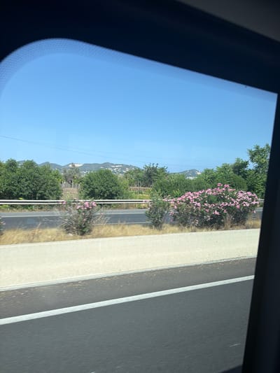 The image shows a view from a vehicle window, looking out at a highway in Santa Eulària des Riu, Spain. The sky is clear and blue. On the side of the highway, there are green trees, bushes, and a large bush with pink flowers. In the background, there are hills with buildings scattered across them. The highway itself is paved with asphalt and has a white line marking the lanes. The view is framed by the dark border of the car window.
