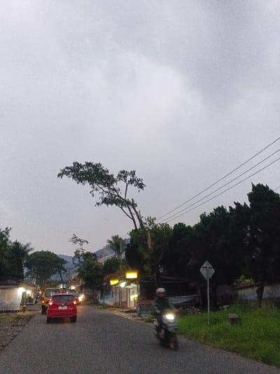 The image displays a street scene in Phước Hòa, Vietnam, under a uniformly overcast, light grey sky. An asphalt road, appearing two-lane, stretches from the foreground into the mid-ground. A red hatchback is centrally positioned, moving away from the viewer, with its taillights illuminated. Behind it, another vehicle, partially obscured, shows illuminated headlights. In the right foreground, a blurred figure on a dark motorcycle, wearing a light helmet, moves towards the viewer, its headlight emitting a bright glow.
Along the left side of the road, several low-rise structures, likely commercial or residential, feature illuminated yellow signs and interior lights. The right side of the road borders a patch of green grass, behind which dense dark green trees stand. A tall, slender tree with a prominent, almost horizontal limb extends across the middle-right, its upper branches mostly bare. Overhead power lines traverse the upper right portion of the frame. A white, diamond-shaped road sign with an obscured symbol is visible on the right shoulder. Distant, tree-covered hills are faintly visible against the horizon. The overall lighting suggests dusk or heavily overcast daytime conditions.