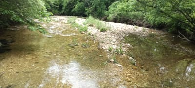 The image shows a shallow, clear stream flowing over a rocky bed. A gravel bar with sparse vegetation runs diagonally through the center of the frame. The water is shallow enough to see the rocks beneath. The surrounding area is densely wooded with green trees and foliage. The stream appears to be located in a natural, outdoor setting. The location is Tahlequah, United States of America.