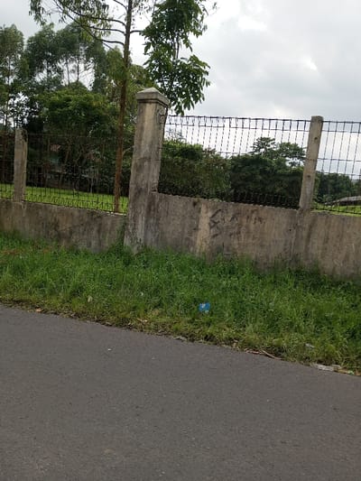 The image depicts a roadside scene in Vieng Phouka, Laos, under an overcast sky. In the foreground, the lower left quadrant shows a section of dark gray asphalt road. Adjacent to the road, a strip of unkempt green grass and weeds runs along the base of a concrete retaining wall. A small blue plastic item is visible on the grass near the wall.
The weathered concrete wall, approximately 1.5 meters in height, extends horizontally across the mid-ground. It features visible discoloration and minor defacement or marks. Mounted atop this wall is a black metal wire fence, supported by several concrete posts. The central concrete post is capped with a square concrete block. The fence shows some irregularities in its structure.
Behind the fence, a dense green environment is visible, dominated by various trees and foliage. A prominent, slender tree with a light-colored trunk stands centrally behind the fence, extending into the upper portion of the frame. Further back, partially obscured by the trees, a light-colored structure, possibly a dwelling, is discernable. The sky above is uniformly gray with cloud cover. No individuals are present in the scene.