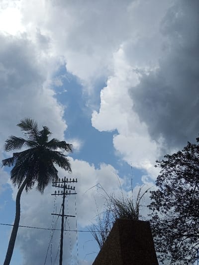 This image depicts an outdoor scene in Konongo, Ghana, dominated by a dynamic sky. Overcast conditions prevail, with a mix of large, dense grey clouds and brighter white cumulus clouds, punctuated by patches of clear blue sky. In the foreground, a tall palm tree with a curved trunk and fanned fronds is silhouetted against the sky on the left. Adjacent to it, near the center, stands a utility pole equipped with multiple cross-arms and insulators, from which several dark wires extend horizontally and vertically. To the right, a dark, textured, possibly concrete or stone structure with a sloped or pyramidal shape is partially visible. Tall, thin blades of grass or reeds sprout from behind or atop this structure. Further right, the dark silhouette of a broad-canopied tree, showing intricate branching, is visible against the lighter parts of the sky. No individuals, specific actions, or interactions are discernible within the frame.