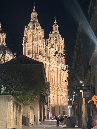 The image captures a nighttime view of a narrow, upward-sloping street in Salamanca, Spain, with the illuminated New Cathedral (Catedral Nueva de Salamanca) dominating the background. The cathedral's ornate stone facade, rendered in warm artificial light, features two prominent bell towers topped with domes and finials, displaying intricate architectural details including multiple levels of columns, arches, and sculptures. A large red entrance door is visible at the base of the cathedral's central section.

On the left side of the street, a stone wall and the dark roofline of a lower building are partially obscured by dark foliage. The right side of the street is lined with multi-story buildings, one of which displays a horizontally mounted sign for "RESTAURANTE." Several individuals are present on the street; a pair in the mid-ground walks together towards the cathedral, seemingly linked arm-in-arm or hand-in-hand. Other figures are visible further up the street, near the cathedral entrance. Dark-colored street furniture, resembling bins or bollards, are positioned along the right curb. A strong, diagonal light flare extends from the upper right portion of the image. The sky is dark, indicating a nighttime setting.