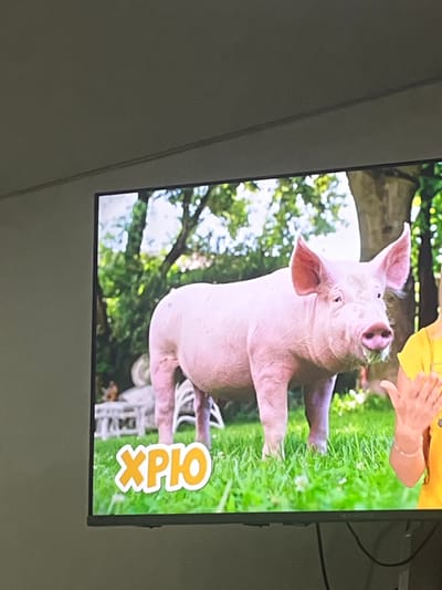 The image is a photograph of a television screen displaying a scene with a pig. The pig is pink and appears to be in an outdoor setting with grass and trees. There is text overlayed on the grass that says "ХРЮ" in orange and white. A person's hands are visible on the right side of the screen, wearing a bracelet and a yellow shirt. The television screen is black. There is no discernible location in the city of Gorodets, Russia.