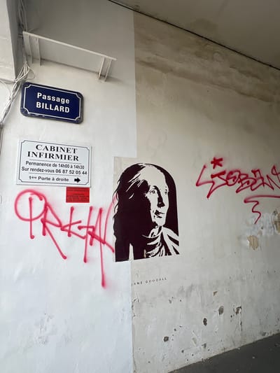 In Trouville-sur-Mer, France, on a wall in a building, a street sign reading "Passage BILLARD" is affixed. Below it, a sign for a "CABINET INFIRMIER" (nurse's office) lists hours of operation and a phone number. A red sticker below that reads "PROPRIETE PRIVEE ZONE RESIDENTIELLE" (Private property residential zone) with a warning about deliveries. To the right of these signs, a stencil of a person's face and the name "JANE GOODALL" are visible. Red graffiti spray paint is present on the wall, with one tag appearing to read "LSDB" and another indecipherable tag. The wall is weathered and stained, with peeling paint in some areas.