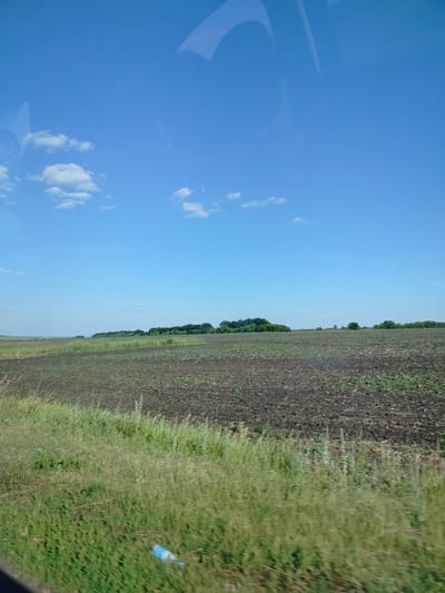 The image captures a wide, open agricultural field under a clear blue sky with scattered white clouds. The foreground features a strip of tall, green grass, with a blurred blue and white plastic bottle lying within it. Beyond the grassy border lies a dark, plowed field, showing the texture of freshly turned earth. In the distance, a line of lush green trees marks the horizon, suggesting a rural or natural landscape. The overall scene conveys a sense of calm and the vastness of the countryside.
The time of day appears to be daytime, likely late morning or afternoon, given the bright sunlight casting no strong shadows and the vivid blue of the sky. The weather is fair and clear, with a few fluffy clouds adding visual interest to the sky. There are no people visible in the image. The location context suggests a rural setting in Russia, likely a cultivated farmland. The absence of any activity or specific landmarks makes it a generic rural landscape shot. There is no visible text in the image.