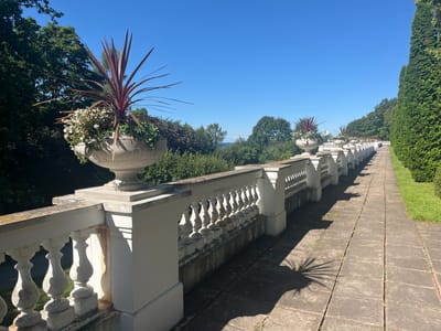 This media file depicts a sunlit outdoor scene in Toila, Estonia, featuring a stone balustrade lining a paved walkway. The balustrade, composed of white pillars and a gray railing, extends into the distance, creating a sense of depth. Along the railing, large, ornate planters hold vibrant plants, including a striking red-leafed Cordyline and white flowers. The walkway is paved with large, square concrete tiles, some of which are cracked and have small weeds growing in the gaps. To the right of the walkway, a meticulously trimmed green hedge stands tall, casting a sharp shadow across the path. On the left, a lush green forest provides a backdrop, with glimpses of a distant body of water under a clear blue sky. The sunlight suggests it is a bright, likely midday, day. The overall impression is one of a well-maintained, tranquil garden or park setting, evoking a sense of calm and natural beauty. There is no visible text in the image.