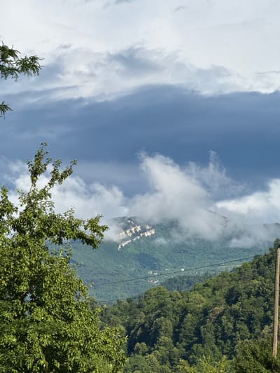 This is a landscape photograph taken outdoors, likely in a mountainous region with lush greenery. The image is oriented vertically, with the sky occupying the upper portion and a dense forest covering the midground and background.

In the sky, there are scattered white clouds against a clear blue backdrop. The clouds appear wispy and somewhat formational, suggesting a dynamic weather pattern. The lower part of the image is dominated by the verdant foliage of trees. The trees are thick and appear healthy, with a variety of leaf shapes and sizes. In the far distance, nestled within the forested hills, a cluster of buildings is visible, hinting at a settlement or a village. These buildings are small and appear to be spread out, suggesting a rural or semi-rural setting.

A power line runs diagonally across the scene, supported by a wooden utility pole visible at the top right. This suggests the presence of infrastructure in the area, even in what appears to be a natural setting. The lighting suggests it's daytime, possibly late morning or early afternoon, given the brightness of the sky and the shadows cast by the trees. There is no discernible text within the image. The scene conveys a sense of natural beauty and a peaceful, possibly remote, location. Given the location context of Khvanchkara, Georgia, the scene likely depicts the rolling hills and vineyards characteristic of the region, though specific details like vineyards are not explicitly visible.