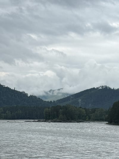 A wide, calm river flows in the foreground, its surface rippled by a gentle breeze under an overcast sky. In the middle ground, a densely forested bank separates the river from the mountainous terrain beyond. The mountains, covered in a thick carpet of trees, rise in the background, their peaks shrouded in a layer of low-hanging clouds. The overall scene depicts a serene natural landscape, likely in a rural or wilderness area. The location is identified as Nizhnekayancha, Russia.