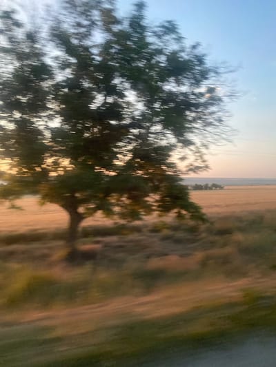 The image captures a blurred, motion-filled view of a rural landscape, likely taken from a moving vehicle. In the foreground, a single tree with dark green foliage is prominently displayed, its form distorted by the motion. Behind the tree, a vast, golden field stretches towards the horizon, suggesting it is a cultivated area, possibly wheat or barley, in a state of harvest or dry. The sky above is a pale blue, transitioning to a soft pinkish hue near the horizon, indicating either sunrise or sunset. A faint line of trees can be seen in the distance, bordering the field. The overall impression is one of movement through an open, agricultural landscape under a serene sky. The image is likely located in the vicinity of Balabanu, Moldova, given the characteristic rural scenery and agricultural fields common to the region.
