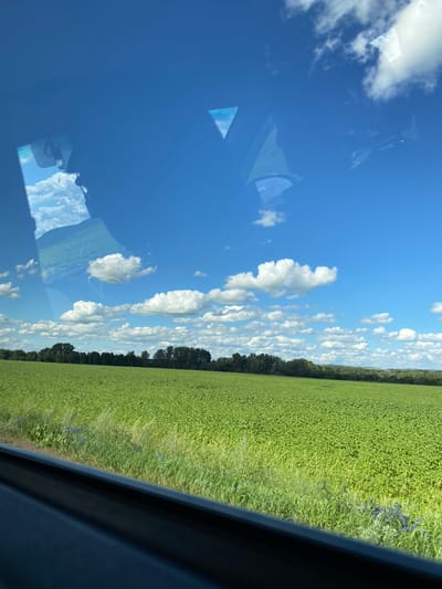 The image captures a vast, green field under a bright blue sky dotted with fluffy white clouds. The field appears to be a crop, possibly sunflowers or a similar plant, stretching to the horizon where it meets a line of dark green trees. In the foreground, the edge of a dark vehicle interior is visible, suggesting the photo was taken from inside a car. Reflections of the sky and clouds are present on the vehicle's window. There are no people visible in the scene. The environment is rural, with agricultural land and natural vegetation. The location is identified as Isyangulovo, Russia.