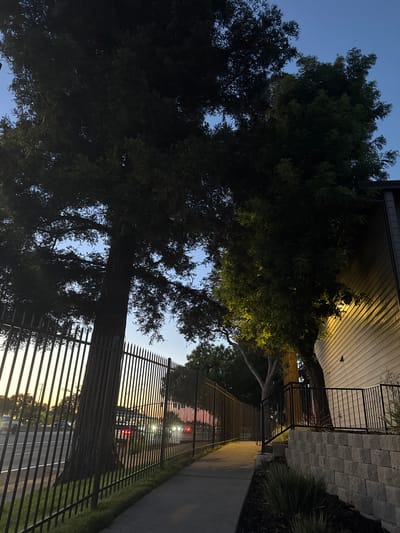 The image depicts a sidewalk next to a fence, with large trees and a building in the background. The scene appears to be in a residential or commercial area, possibly in North Highlands, California, given the presence of palm trees. The sky is a deep blue, suggesting it is late evening or early morning. The lighting is dim, with a warm yellow light illuminating a section of the building. Cars are visible in the distance, with their headlights on, indicating traffic on a nearby road. The overall impression is one of a quiet, peaceful evening in a suburban setting.