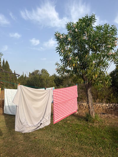 The image depicts an outdoor scene in Sencelles, Spain, featuring laundry drying on a clothesline. In the foreground, a grey sheet and a red and white checkered fabric are prominently displayed, suspended by clothes pegs. To the left, a white sheet with a blue circular pattern is partially visible. The clothesline extends across the frame, supported by posts. Behind the laundry, a large green tree with white flowers stands tall. The ground is covered with dry grass and fallen leaves. In the background, a collection of trees, some appearing to be cypress, are visible, along with a dry stone wall and more vegetation. The sky above is a clear blue with wispy white clouds, suggesting a bright and sunny day. The overall impression is one of a rural or semi-rural setting, likely a garden or backyard.