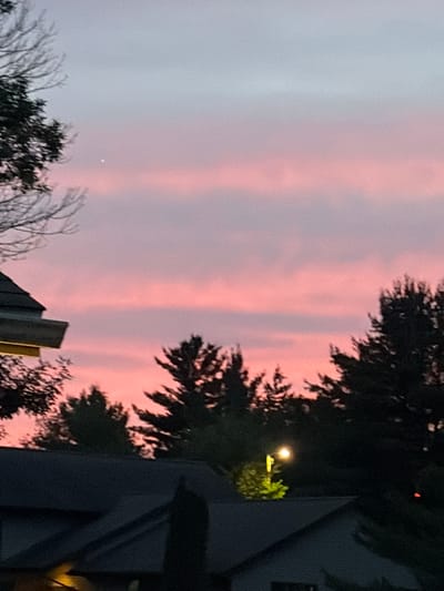 A wide shot captures the sky above Wisconsin Dells, Wisconsin, at dusk. The sky displays a gradient of soft pink and pale gray clouds. Silhouetted against the sky are the tops of evergreen trees and bare branches from a deciduous tree on the left. In the foreground, the dark shapes of rooftops are visible. On the far right, a small, bright red object is visible in the darkness. A lone street lamp illuminates a patch of green foliage on a rooftop in the center of the image. A single bright star or planet is visible in the upper portion of the sky.