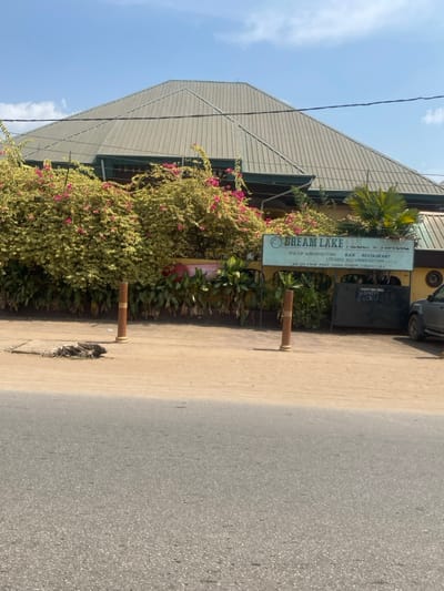 The image depicts the exterior of the Dream Lake Hotel & Suites, located at No 199 Atani Road, Iyiowa Odekpe, Ogbaru L.G.A., Nigeria, under a clear blue sky during daylight hours. The building features a large, grey corrugated metal hip roof. Its lower facade is heavily covered by dense, variegated yellow-green foliage interspersed with vibrant pink bougainvillea flowers. A prominent light blue and white sign, "DREAM LAKE HOTEL & SUITES," is mounted on the building, listing services such as "FULLY AIRCONDITIONED BAR RESTAURANT LODGING ACCOMMODATION." Below the sign, additional green tropical plants are visible against a light yellow section of the building. In the foreground, an asphalt road occupies the lower third of the frame, bordered by a wide, unpaved light brown dirt shoulder. Two brown cylindrical bollards with lighter tops are positioned on this shoulder. A damaged concrete drain grate is visible on the left side of the shoulder. A dark-colored SUV or pickup truck is partially visible, parked on the right side next to the building's apparent entrance. No individuals are present in the scene.