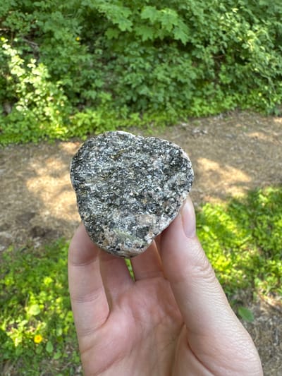 A close-up, high-angle shot captures a human hand holding a speckled rock outdoors in Saulkrasti, Latvia, under bright daylight. The hand, with fair skin and clean fingernails, cradles an irregularly shaped stone that is primarily composed of black, white, and grey speckles, suggesting a granite-like texture, possibly with some green mineral inclusions.
The background is softly blurred, focusing attention on the rock and hand. On the left and right, lush green foliage, likely bushes and grass, fills the frame, indicating a natural, verdant environment. A dirt or gravel path runs through the center background, partially illuminated by sunlight, which also casts soft shadows, implying a sunny day. A small yellow flower is visible among the green plants in the lower right. The scene evokes a tranquil, natural setting, typical of the outdoor landscapes found in Saulkrasti. No text is visible in the image.