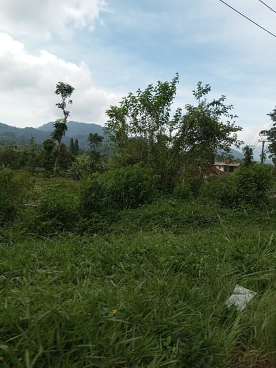This image depicts a verdant, semi-rural landscape located in Kandenuwara, Sri Lanka, under a partly cloudy sky. The foreground is dominated by dense, tall green grass and various low-lying plants. A crumpled, translucent white plastic bag rests on the ground amidst the grass in the lower right quadrant. The midground features a thick cluster of trees and dense green shrubs. Partially visible behind this foliage, towards the right, is a single-story building with light-colored walls and a reddish-brown tiled roof. In the upper right, dark power lines traverse the frame, supported by utility poles largely obscured by vegetation. The background reveals a series of distant, forested hills or mountains extending across the horizon. No individuals are present, and no actions or interactions are depicted. The scene is illuminated by natural daylight.