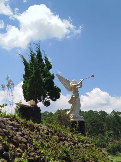 A statue of an angel with wings outstretched is depicted playing a trumpet against a backdrop of a bright blue sky filled with scattered white clouds. The angel statue is white and stands on a dark, cylindrical base. To the left of the angel statue, a conical evergreen tree stands on a dark, textured pedestal. The foreground is a rocky incline covered with green vegetation and some smaller plants. In the background, a dense forest of evergreen trees stretches across the horizon. This scene is located in the city of K'Rèn, Vietnam.