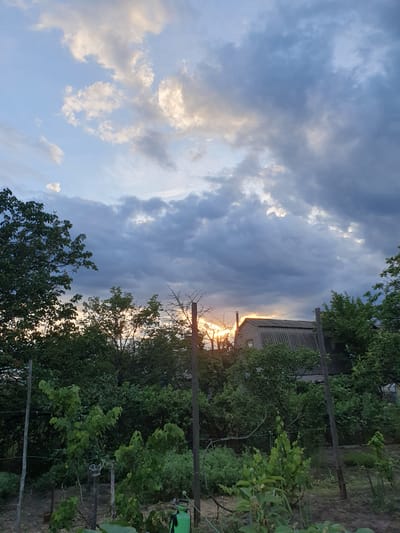 The image depicts a rural landscape scene in Novoivanivka, Ukraine, at dusk. A cloudy sky with patches of sunlight filtering through the clouds dominates the upper portion of the frame. In the middle ground, several trees with green foliage are visible, with a residential structure with a corrugated roof situated behind them. The foreground shows a garden area with various plants and fencing. Wooden posts are strategically placed throughout the scene, supporting wires and what appear to be garden trellises. A green sprayer can be seen in the lower right corner. The overall impression is that of a quiet, natural setting during the evening hours.