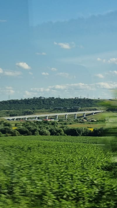 The image shows a wide landscape scene under a bright blue sky with scattered white clouds. In the mid-ground, a modern, elevated highway viaduct with concrete pillars stretches across the frame, spanning rolling green hills. Some buildings and structures are visible on the horizon atop the highest hill. The foreground features a vast, blurred field of green crops, suggesting motion or a fast shutter speed. The overall environment appears rural, with agricultural land and natural vegetation. The location is identified as Pătrăuți, Romania. There are no people or discernible actions depicted in the image.