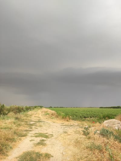 The image depicts a rural landscape under a heavily overcast sky, suggesting impending rain or storm. In the foreground, a dirt path stretches into the distance, bordered by dry, yellowing grass and some green vegetation. To the right of the path, a large pile of debris, possibly from a construction site, is visible amongst the dry grass. Beyond the path, a vast green field, likely a crop such as cotton, extends horizontally across the frame. A thin line of trees forms a distant horizon. The scene appears to be an agricultural area, potentially located in the region of Pakhtachi, Uzbekistan, given the context. There are no people or animals present in the image, and no discernible actions are taking place. The overall impression is one of natural scenery on the cusp of changing weather.