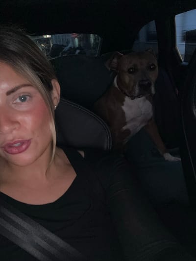 The image captures a selfie taken inside a car, featuring a woman and a dog. The photo is taken in low light, suggesting it is either nighttime or a dim interior.

In the foreground, on the right side of the frame (when viewed upright), is the woman's face and upper chest. She has fair skin, light brown hair with blonde highlights styled to the side, and blue eyes. She is wearing makeup, including dark red lipstick and blush on her cheeks. Her expression is neutral and calm. She is wearing a dark, possibly black, top, and a dark seatbelt strap is visible across her chest on the far right edge of the image.

Behind and to the left of the woman, a brown and white dog is visible, lying or sitting on a dark car seat. The dog has short fur, predominantly brown with distinct white markings on its chest and a portion of its face. It has dark, round eyes and is looking directly towards the camera with an attentive, gentle expression. The dog appears relaxed and comfortable.

The setting is the interior of a car, indicated by the dark leather or fabric seats and interior panels. The ambient light is dim, with subtle reflections of outside lights, possibly from streetlights or other vehicles, visible through a car window on the left side of the image. The overall mood is quiet and personal. No text is visible in the image.