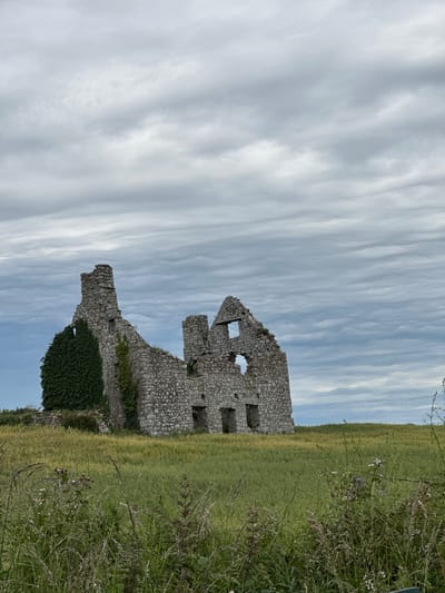 An outdoor, low-angle, medium shot captures the ruins of a stone structure situated in a field of tall grass and wildflowers under a cloudy sky. The dilapidated building, with its crumbling stone walls and missing roof, is overgrown with green ivy on its left side. The structure appears to be a historical ruin, possibly a castle or abbey, with visible empty window openings and doorways. The field in the foreground is dense with green grass and dotted with small white wildflowers and taller, dry grasses. The sky above is filled with dramatic, wavy grey and white clouds. The scene is devoid of any people or animals, presenting a solitary and weathered landscape. The structure is identifiable as the ruins of the Augustinian Abbey in Castledermot, Ireland, a historic site known for its monastic past.