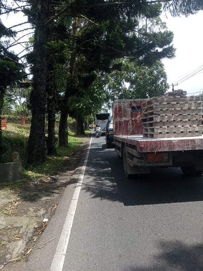 The scene depicts a daytime view of an asphalt road in Ura-Dozhi, Bhutan, observed from a low-angle perspective near the roadside. In the foreground, the paved road features a worn white solid line delineating the right edge. Shadows from overhead trees are cast across the asphalt.
On the right side of the road, a red flatbed truck is parked or slowly moving. Its bed is laden with a tall, stable stack of approximately eight layers of gray, rectangular concrete or stone pallets, secured by orange strapping. The rear of the truck displays red taillights. Directly behind this truck, a blue truck is partially visible, followed by a white bus with "Mytha" and "Trans" branding visible on its side. A lone individual is operating a white scooter, positioned between the blue truck and the bus.
To the left of the road, beyond the white line, there is a narrow, unpaved shoulder with dirt and sparse vegetation, including dried leaves and minor debris. Further left, a grassy embankment ascends, lined with a series of tall, dark green coniferous trees whose branches extend over the road. A small, weathered concrete structure is situated at the base of this embankment in the lower-left corner. The background consists of dense green foliage and more distant trees beneath a bright, possibly overcast sky.