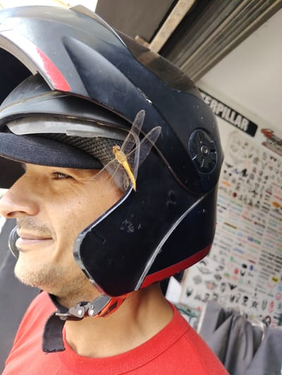 A man wears a black motorcycle helmet with red accents, on which a golden dragonfly has landed. The man is fair-skinned, has short dark hair, and a mustache. He wears a black baseball cap under the helmet and a red t-shirt. The background includes a wall covered in stickers and the partial word "CATERPILLAR" on a sign. Based on visual cues and local knowledge, it is possible the image was taken in Trujillo, Peru, as it is a city with a high usage of motorcycles for transportation.