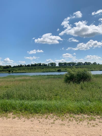 A tranquil landscape scene unfolds under a bright blue sky dotted with fluffy white clouds. The foreground is dominated by a dirt path leading to a dense field of tall green grass and reeds. Beyond the grassy expanse, a calm body of water stretches horizontally across the middle ground. A line of lush green trees forms a natural border along the far bank of the water, with a gentle, verdant hill rising behind them. The overall impression is one of natural beauty and peaceful seclusion. The location is identified as Slabada-Kuchynski Sel'ski Savet, Belarus.