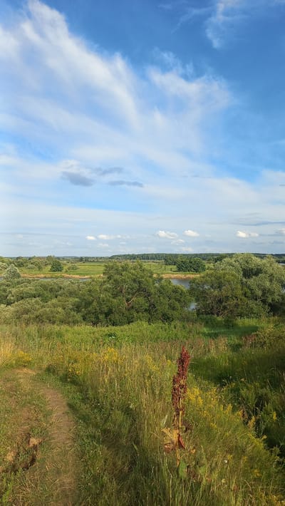 The image depicts a natural landscape with a prominent blue sky filled with wispy white clouds. The foreground consists of a dirt path winding through tall green grass and wildflowers, with a tall, reddish-brown plant in the lower right quadrant. Beyond the foreground, the scene opens up to a vista of lush green trees and vegetation, with a body of water, likely a river or lake, visible in the midground. The horizon is lined with a dense forest. The overall impression is one of a serene, rural environment. The metadata indicates the location as Стрэшынскі сельскі Савет, Belarus. There are no people or man-made structures visible in the image.