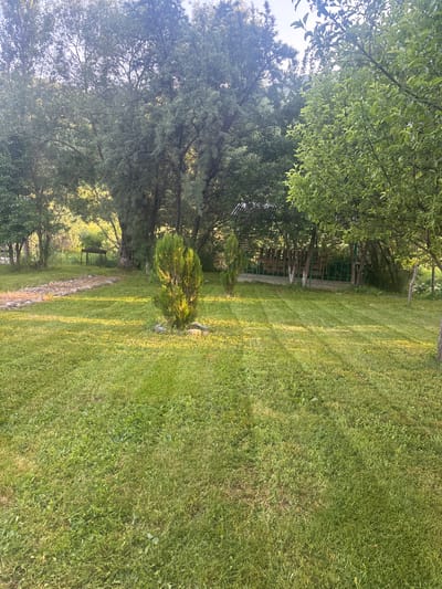 A sunlit lawn with trees and a gazebo is captured in a photograph taken in Artavaz, Armenia. The foreground is dominated by a well-maintained green lawn, with streaks of sunlight creating a dappled effect. In the mid-ground, a small, conical evergreen tree stands near a path made of stones. Beyond that, a wooden gazebo with a slatted roof is visible, surrounded by trees. The background features a dense line of trees, suggesting a wooded area or park. The sky is partially visible at the top, with the light indicating it is either early morning or late afternoon. There are no people or animals in the image.