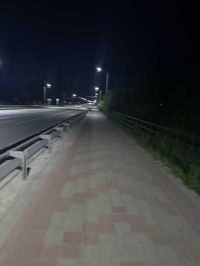 The image depicts an outdoor scene at night, likely a road or highway. On the left, a multi-lane road is visible with cars driving by, their headlights and taillights creating streaks of light. A metal guardrail separates the road from a paved sidewalk on the right. The sidewalk is illuminated by streetlights, which are positioned along the road. The sidewalk itself is paved with alternating red and gray rectangular tiles. Beyond the sidewalk, a dense line of dark green bushes or trees forms a backdrop, with a dark, possibly grassy area between the bushes and the sidewalk. The sky is dark, indicating nighttime. The scene appears to be in a somewhat urban or suburban area, given the road infrastructure and street lighting. The location is specified as Заречный ауылдық округі, Kazakhstan.