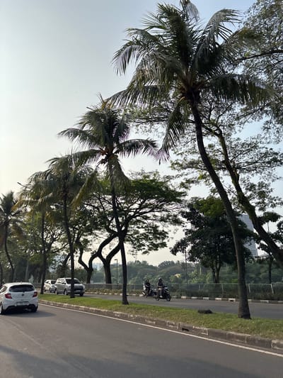 A street scene in Pakulonan Barat, Indonesia, shows a road with multiple lanes. A white car is traveling in the left lane, followed by two silver cars. In the right lane, two people are riding a motorcycle. Palm trees line the side of the road, with other trees and foliage behind them. A tall building is visible in the distance. The sky is clear and hazy. The overall impression is one of urban traffic and greenery under a bright sky.