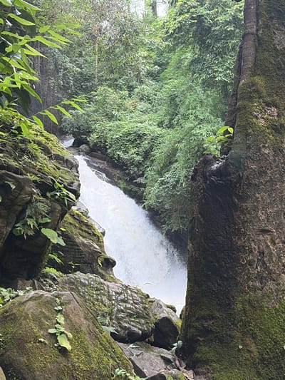 The image captures a lush, natural scene featuring a waterfall in Ban Huai Takhrai, Thailand. The waterfall cascades down a rocky incline, with white water creating a frothy spray. The surrounding environment is densely vegetated with vibrant green foliage, including bamboo-like plants and ferns clinging to moss-covered rocks. A large, textured tree trunk, also covered in moss, stands prominently in the foreground, partially obscuring the view of the waterfall. The overall impression is one of a secluded, verdant natural landscape.