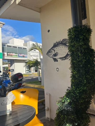 The image shows a white building with a black and white drawing of a fish on its wall. The wall is covered with green foliage. A blue motorcycle is parked in front of the building. There is a yellow chair and a wooden table in the foreground. A black pipe is connected to the wall. A blue sky with a few white clouds can be seen in the background. The image is taken from a location in Pozos, Costa Rica. The coordinates of the location are 9.951, -84.194.