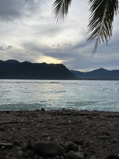 The image depicts a low-angle view of a beach with the ocean and a mountainous coastline in the background. The foreground is composed of dark sand and pebbles, with a few pieces of driftwood scattered on the beach. The ocean is a pale blue-green, with gentle waves rolling towards the shore. In the distance, a dark green, forested mountain range stretches across the horizon. The sky is overcast with dramatic, gray clouds, but a sliver of sunlight breaks through near the top of the mountains, casting a soft glow on the scene. A palm frond hangs from the upper right corner, partially obscuring the sky. The overall mood is serene and natural, suggesting a remote or undeveloped coastal area. No people or specific landmarks are visible to pinpoint a precise location within Babahie, Indonesia, beyond the general description of a beach, ocean, and mountains.