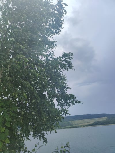 A tree with green leaves occupies the left and center of the frame, obscuring much of the view. The tree branches extend towards the right and down. Beyond the tree, a body of water is visible, with a distant, green, hilly landscape. The sky is overcast with gray clouds. The image appears to have been taken outdoors, possibly near a lake or reservoir. There is no identifiable location within the city of Ústí nad Labem, Czechia. There are no people, objects, or actions depicted in the image.