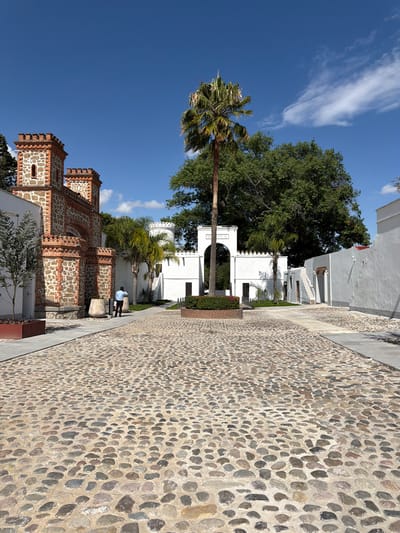 This media file presents a sunlit outdoor scene along a textured cobblestone pathway in San Lucas el Grande, Mexico. The path, constructed from numerous rounded stones set into mortar, stretches from the immediate foreground into the background, narrowing in perspective.
On the left side of the pathway, a distinctive building is visible, characterized by its reddish-brown brickwork alternating with grey stone sections. This structure features crenellated battlements along its roofline and has small, recessed window openings. A tall palm tree stands prominently in front of this building, its fronds extending towards the clear blue sky, which is adorned with a few wispy white clouds. Further down the path, a series of white stucco buildings with archways and additional crenellated features can be seen, partially enveloped by large, lush green trees. Notably, one white arched structure clearly displays the text "UNIVERSIDAD INTERNACIONAL".
To the right of the pathway, a simpler, light-grey building extends alongside the cobblestones. In the mid-ground, a person, dressed in a blue shirt and dark pants, stands near the white buildings, seemingly observing the surroundings. The entire scene is bathed in bright natural sunlight, indicating it is daytime. The architecture, vegetation, and sunny conditions are consistent with a warm climate.