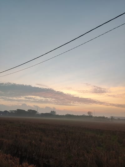 The image shows a rural landscape at dawn in Banjarkemantren, Indonesia. In the foreground, a harvested field is covered in dry stubble, with some green shoots visible. A thin layer of mist hangs low over the field. The middle ground is dominated by a line of silhouetted trees and vegetation, with some structures and what appear to be radio towers or utility poles visible behind them. The sky is a gradient of pale blue at the top, transitioning to soft pinks and oranges near the horizon, indicating the early morning sun. Two dark power lines stretch diagonally across the upper portion of the image. The overall impression is one of tranquility and the start of a new day in a rural setting.