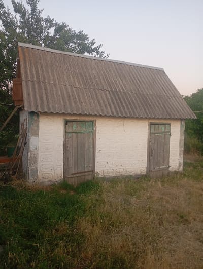 The image shows a rustic, weathered outbuilding with a corrugated roof, situated in Skotuvate, Ukraine. The outbuilding is made of white, textured blocks and features two wooden doors, one on the left and one on the right. The door on the left is partially obscured by a ladder leaning against the building. The surrounding area is overgrown with dry grass and some green vegetation. Trees are visible in the background, and the sky is a pale, hazy blue, suggesting it might be early morning or late afternoon. The overall impression is one of rural simplicity and age.