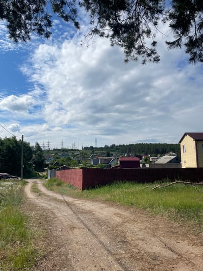 The image captures a rural or semi-rural landscape in Vasilevka, Russia, under a partly cloudy sky. A dirt road with visible tire tracks curves from the lower center towards the left, bordered by tall green grass and weeds. On the immediate right of the road is a reddish-brown solid fence, behind which a grassy area and the corner of a two-story house with a light yellow facade and a dark brown roof are visible. Multiple other residential buildings with varied roof colors (red, grey, blue) are scattered across the midground. A utility pole with wires stands on the left side of the road, with cars partially visible behind foliage further back. In the background, numerous metal lattice electrical transmission towers (pylons) stretch across the horizon, backed by a dense line of trees forming a forest. The upper portion of the frame is shaded by dark pine branches hanging from an overhead tree. No people are present.