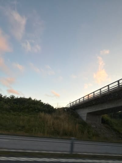 The image depicts a concrete overpass in Rabbalshede, Sweden, with a highway visible in the foreground. The sky is a pale blue with scattered pink and white clouds, suggesting either sunrise or sunset. Vegetation, including trees and dry grass, covers the embankment beneath the overpass. The overpass itself has a metal railing along its edge. No people are visible in the image.