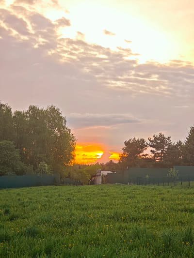 The image depicts a grassy field with dandelions under a cloudy sky in Ильинское, Russia, with a bright sunset visible between trees on the horizon. A dark green fence runs across the middle ground, separating the field from trees and a building in the distance. The sky is a mix of pink, orange, and white clouds, with the sunset appearing as a bright orange slit between the trees.