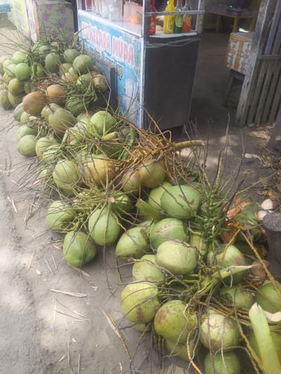 The image shows a large pile of fresh coconuts displayed on the ground and against a small roadside stall in Mematangpanyang, Indonesia. The stall has a sign that reads "ES KELAPA MUDA SADAR & MANTAP" which translates to "Young Coconut Ice, Aware & Delicious." The coconuts, predominantly green, are still attached to their fibrous stems and branches. Some coconuts have a brownish-yellow hue, indicating varying stages of ripeness or variety. The ground appears to be a mix of sand and dirt, with dry leaves and twigs scattered around. Behind the coconuts and stall, there is a glimpse of a wooden structure, possibly part of another stall or seating area, and a yellow-topped table with items on it. The lighting suggests it is daytime. There are no people visible in the frame. The scene depicts a typical roadside vendor selling fresh coconut drinks in Indonesia.
