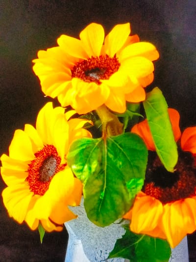A bouquet of sunflowers bursts with color against a dark background. Three flowers prominently display bright yellow petals and dark red-brown centers. Green leaves intermix, adding a contrasting element. One flower exhibits orange petals. The arrangement is housed within a vase, likely made of stone or ceramic, which features a subtle decorative pattern.