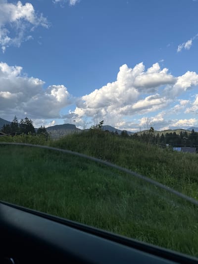 A wide-angle, eye-level outdoor shot depicts a lush green meadow with tall grass in the foreground. In the mid-ground, a dense line of dark green coniferous trees runs horizontally, with rolling hills and mountains visible behind them. The sky is a bright blue, adorned with large, fluffy white cumulus clouds. The bottom left of the image shows a dark, curved car interior element, likely the door frame and window, indicating the photograph was taken from inside a vehicle. The scene is set in Bischofswiesen, Germany, on a bright, partly cloudy day.