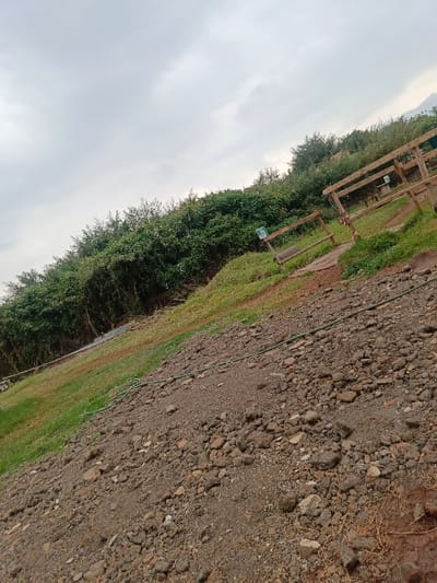 The scene depicts an outdoor environment in Ngecha Tigoni ward, Kenya, under a predominantly overcast sky. The foreground consists of uneven, rocky, and gravel-strewn earth with some sparse dry vegetation. A green garden hose lies across this rocky terrain, extending from the left side of the frame towards the right. Immediately beyond the rocky area is a slope covered with green grass. Further up the slope, dense green foliage, comprising trees and bushes, dominates the background, extending across the horizon.
On the grassy slope, to the right of the frame's center, a wooden structure resembling a fence or railing is visible, consisting of vertical posts and horizontal beams. A small, square, green sign with the white number "33" is affixed to one of the wooden posts. No individuals, animals, or explicit actions are observed within the frame. The overall impression is that of a natural or semi-natural landscape with minimal human alteration, possibly a path or boundary line.